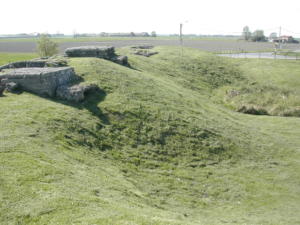 DSCN0059