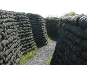 DSCN0083