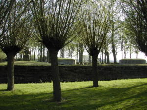 DSCN0087