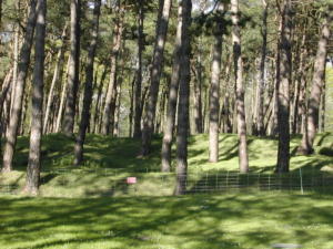 DSCN0158